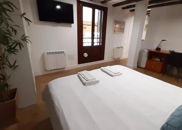 Luxury In Old Town Near By Www,sansebastianapartments,es San Sebastian