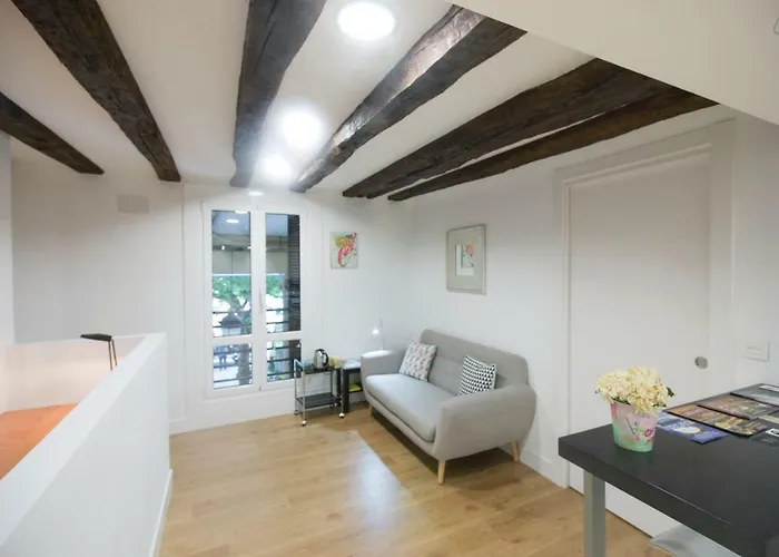 Luxury In Old Town Near By Www,sansebastianapartments,es 公寓 圣塞瓦斯蒂安